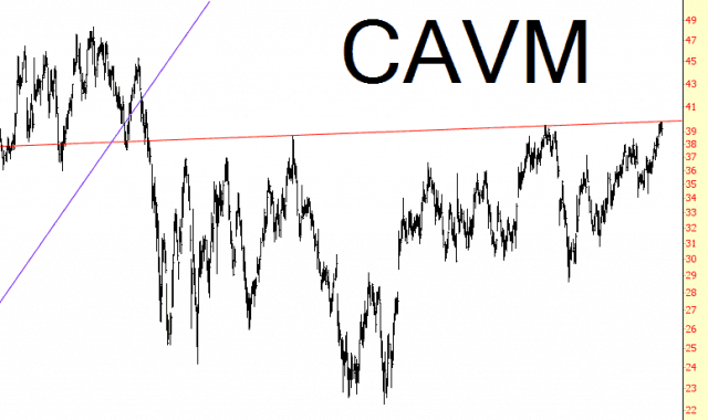 0906-cavm