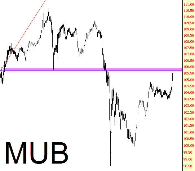0113-mub