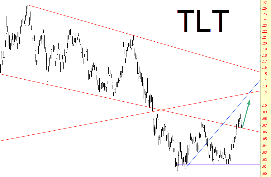 0206-TLT