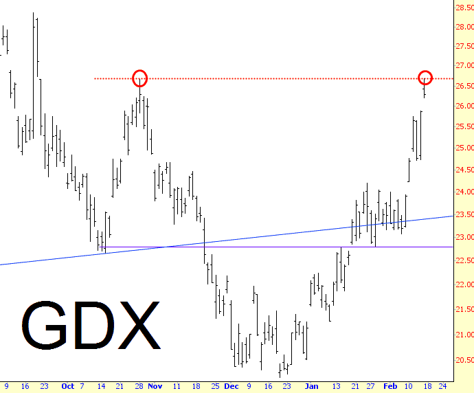 0214-GDX