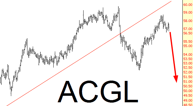 0401-acgl