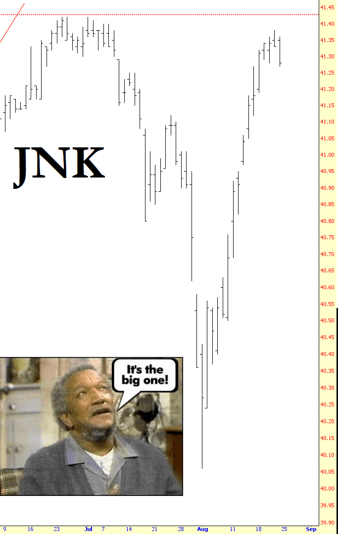 0822-jnk