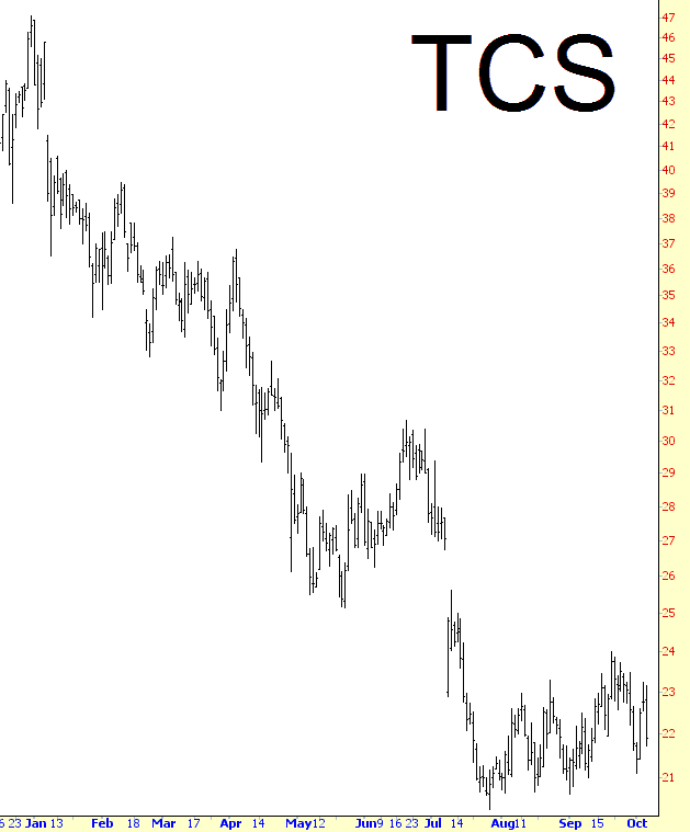 1006-TCS