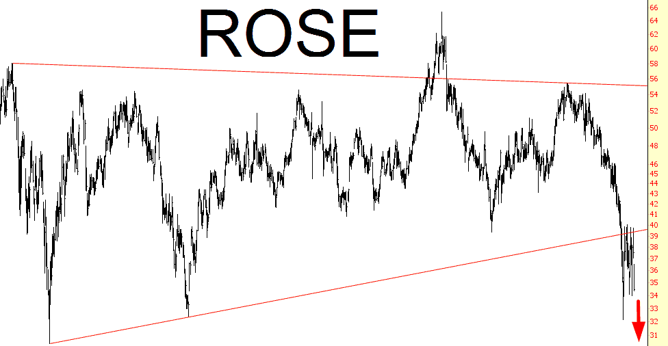 1104-ROSE