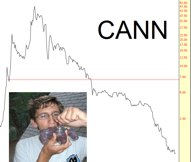 1231-CANN