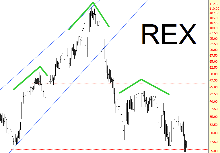0108-rex