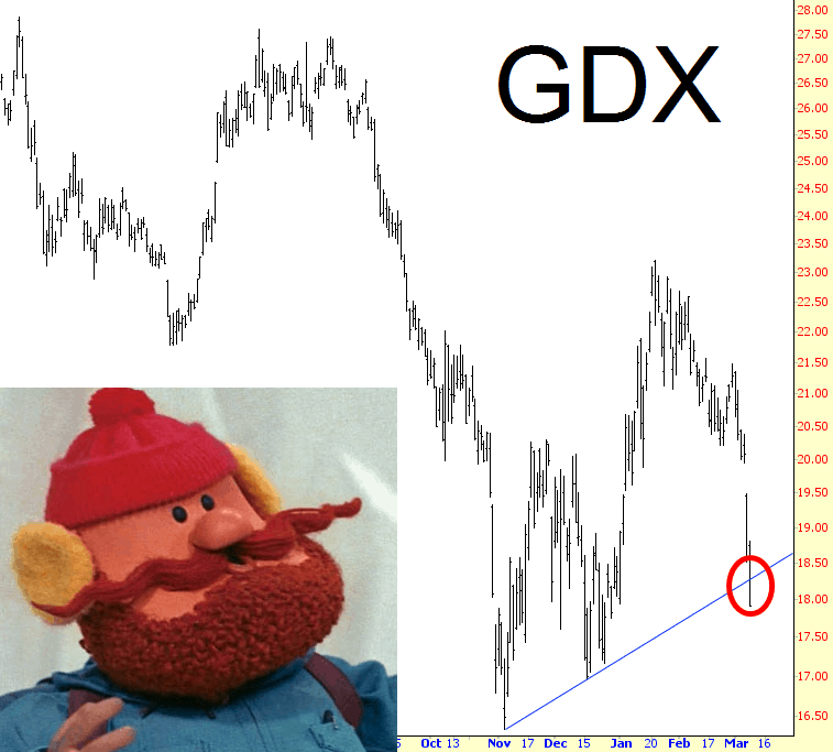 0309-GDX