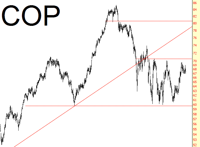 0503-COP