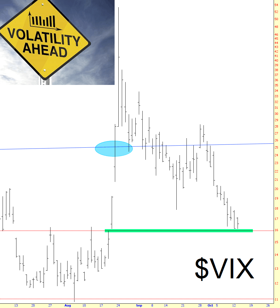 1013-vix