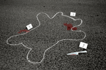 crime scene bear