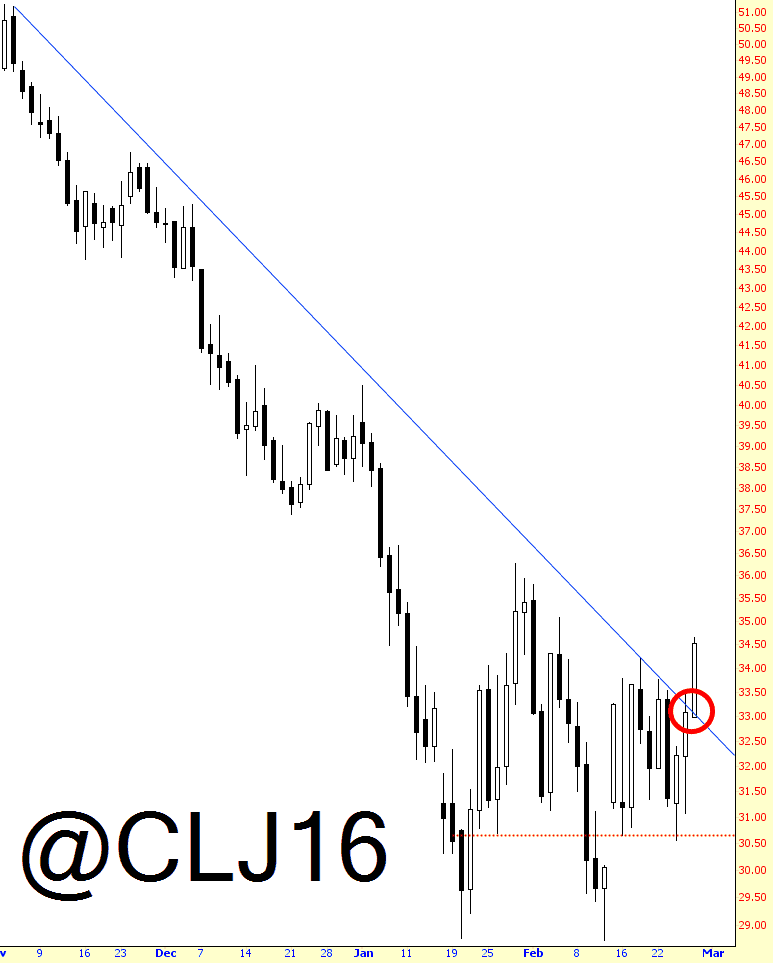 0226-cl