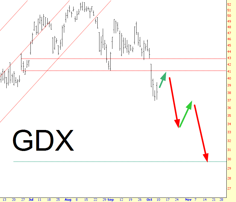 1008-GDX