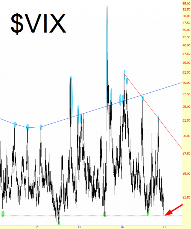 1221-vix