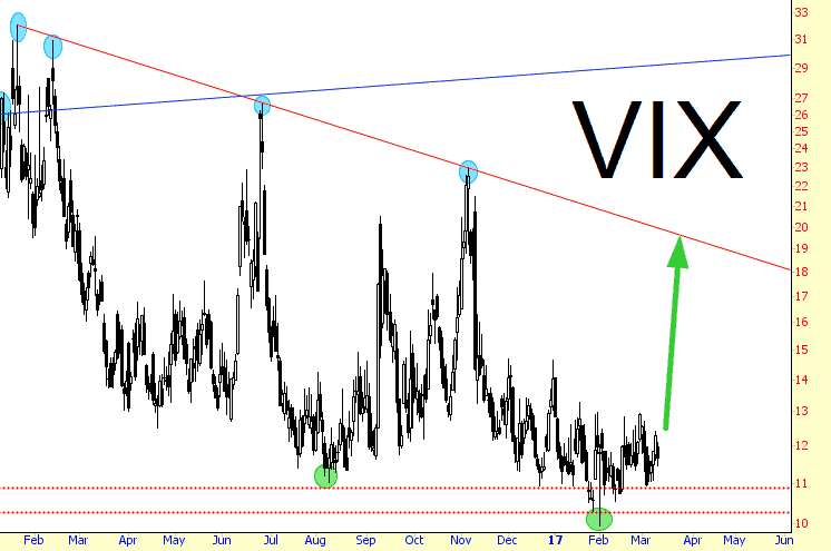 0311-vix