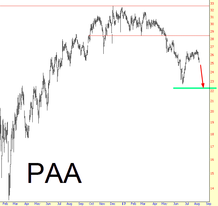 0807-PAA