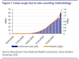 rabovir1.jpg (623×463)