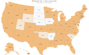 stayathomeorders.png (1087×673)