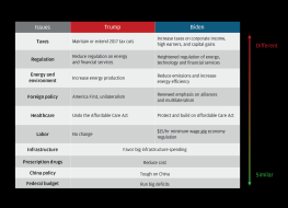 trump vs biden differences_0.png (1280×924)