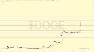 slopechart_$DOGE.jpg