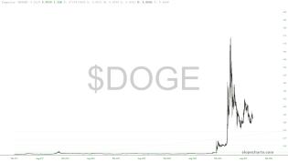 slopechart_$DOGE.jpg