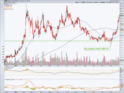 Little Hymie and lessons learned | Notes From the Rabbit Hole