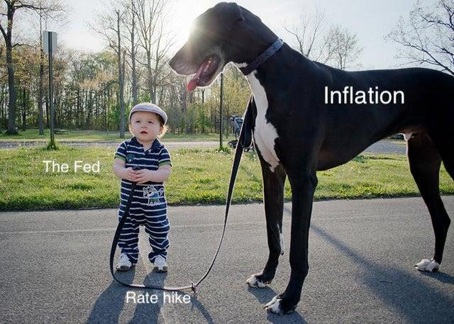 2772f8jorpc81.jpg (640×457)