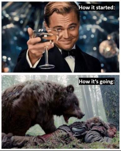 a76y13ribvd81.jpg (640×795)