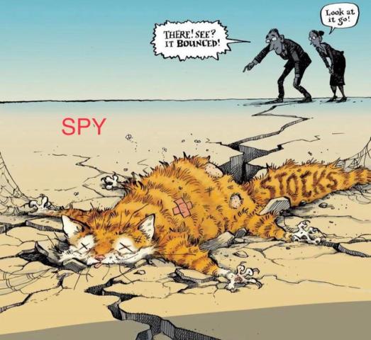 4tdz5d8toxr81.jpg (640×587)