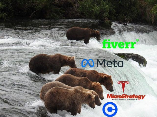 2i87wsvuduu91.jpg (640×480)