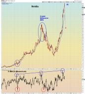 0s2xe8gk2ldb1.jpg (1000×1100)