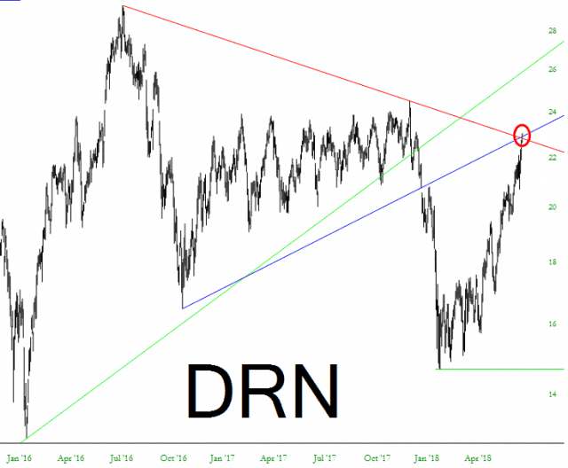 DRN