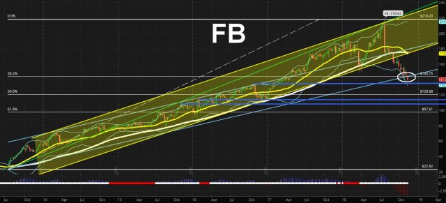 FB weekly