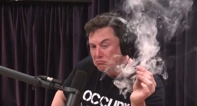 Elon musk blunt