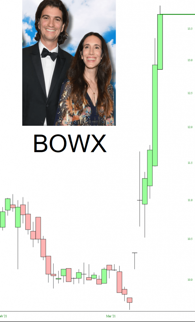 bowx