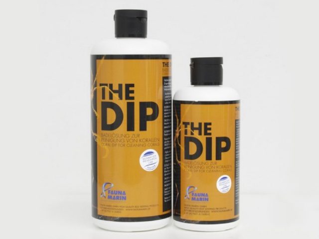 the dip