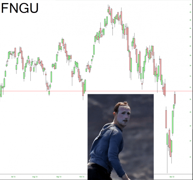 fngu