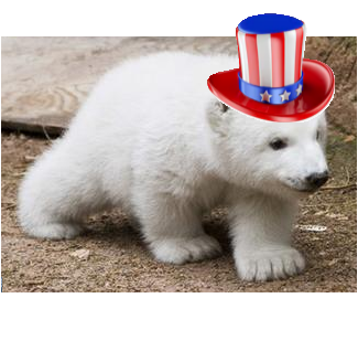 Baby Bear